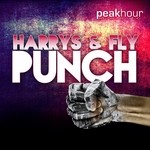 cover: Harrys & Fly - Punch