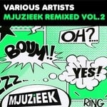 cover: Audiowhores|Peter Brown|Pray For More|Lois Zarculea - Mjuzieek Remixed Vol 2