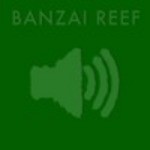 cover: Banzai Reef - Latin Killa