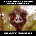 cover: Deep Criminal|Absolut Groovers - Crazy Things