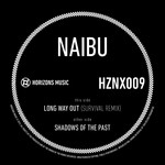 cover: Naibu - Long Way Out