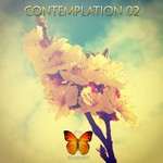 cover: Various - Contemplation 02