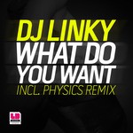 cover: Dj Linky - What Do You Want From Me