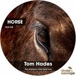 cover: Tom Hades - Horse