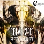 cover: Drop, Jean|Various - CibiLab 2013 (selected by Jean Drop)