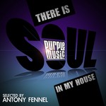 cover: Antony Fennel - There Is Soul In My House