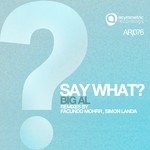 cover: Big Al - Say What (remixes)