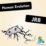 cover: Jrb - Human Evolution