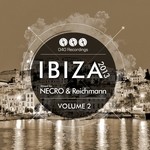 cover: Necro & Reichmann|Various - 040 Recordings Ibiza 2013 Vol 2 (mixed by Necro & Reichmann) (unmixed tracks)