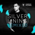 cover: Fabricio Pecanha - Silver Lining (remixed)