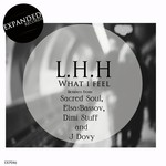 cover: Lhh - What I Feel (remixes)