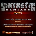 cover: Dani Delirio - Sinthetic Remixed Part 1