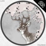 cover: Ilario - Polimero