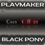 cover: Playmaker - Black Pony