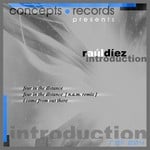 cover: Raul Diez - Introduction