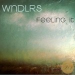 cover: Wndlrs - Feeling It