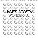 cover: James Acosta - Wonderful