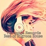 cover: Various - Best Of Bigroom House