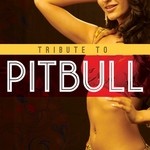 cover: Don Gaspar - Tribute To Pitbull