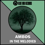 cover: Ambos - In The Melodies