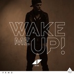 cover: Avicii - Wake Me Up