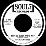 cover: Freddie Chavez - They'll Never Know Why