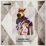 cover: David Hat - Poem Of Airport EP