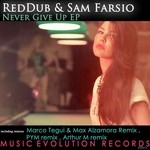 cover: Reddub|Sam Farsio - Never Give Up EP