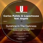 cover: Angela|Lopezhouse|Pulido, Carlos - Sunshine In The Darkness