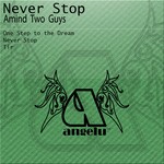 cover: Amind Two Guys - Never Stop