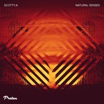 cover: Scotty A - Natural Senses