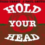 cover: Todd Terry - Hold Your Head