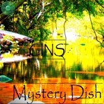 cover: Gins - Mystery Dish