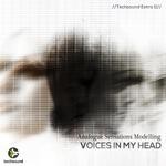 cover: Analogue Sensations Modelling - Voices In My Head