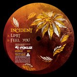 cover: Incident - Limit