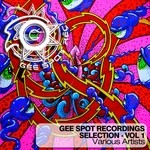 cover: Mills, Aaron|Various - Gee Spot Recordings Selection Vol 1 (unmixed tracks)