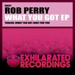 cover: Rob Perry - What You Got EP