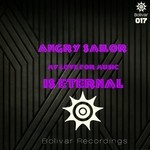 cover: Angry Sailor - My Love For Music Is Eternal