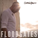 cover: Charlie Brown - Floodgates