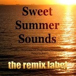 cover: Paduraru|Various - Sweet Summer Sounds: Ibiza Deephouse vs Progressive Housemusic Tunes In Key G