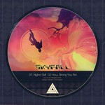 cover: Skyfall - Higher Self