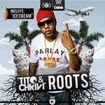 cover: Tito & Chrivi - Roots