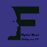 cover: Digital Mess - Boiling Sea