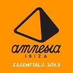 cover: Various - Amnesia Ibiza Essentials 2013 (Selected & Mixed by Les Schmitz/Caal Smile/Mar-T)