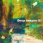 cover: Artem Rubtsov|Shender, Den - Deep Sampler 01