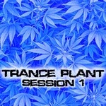 cover: Various - Trance-Plant Session 1