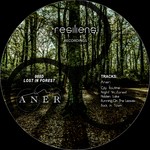 cover: Aner - Lost In Forest EP