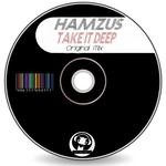 cover: Hamzus - Take It Deep