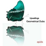 cover: Upwellings - Geometrical Dubs