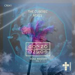 cover: Gonzo Gonzo - Soulmastah (CUBEREC Remixed Edition)